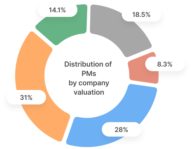 Product Managers Company Valuation Donut Chart Breakdown