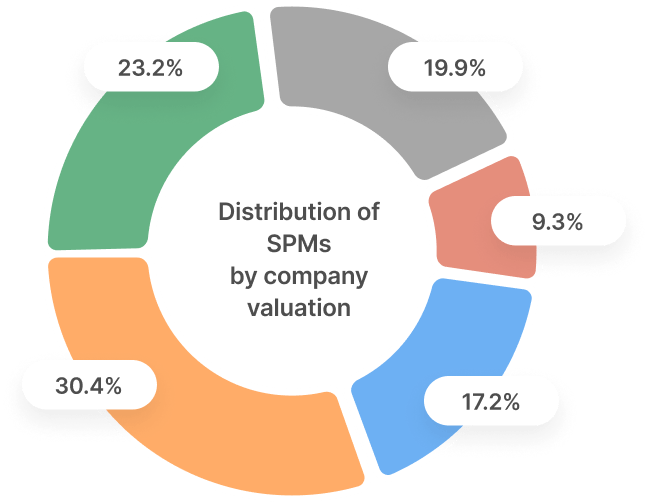 Senior Product Managers Company Valuation Donut Chart Breakdown