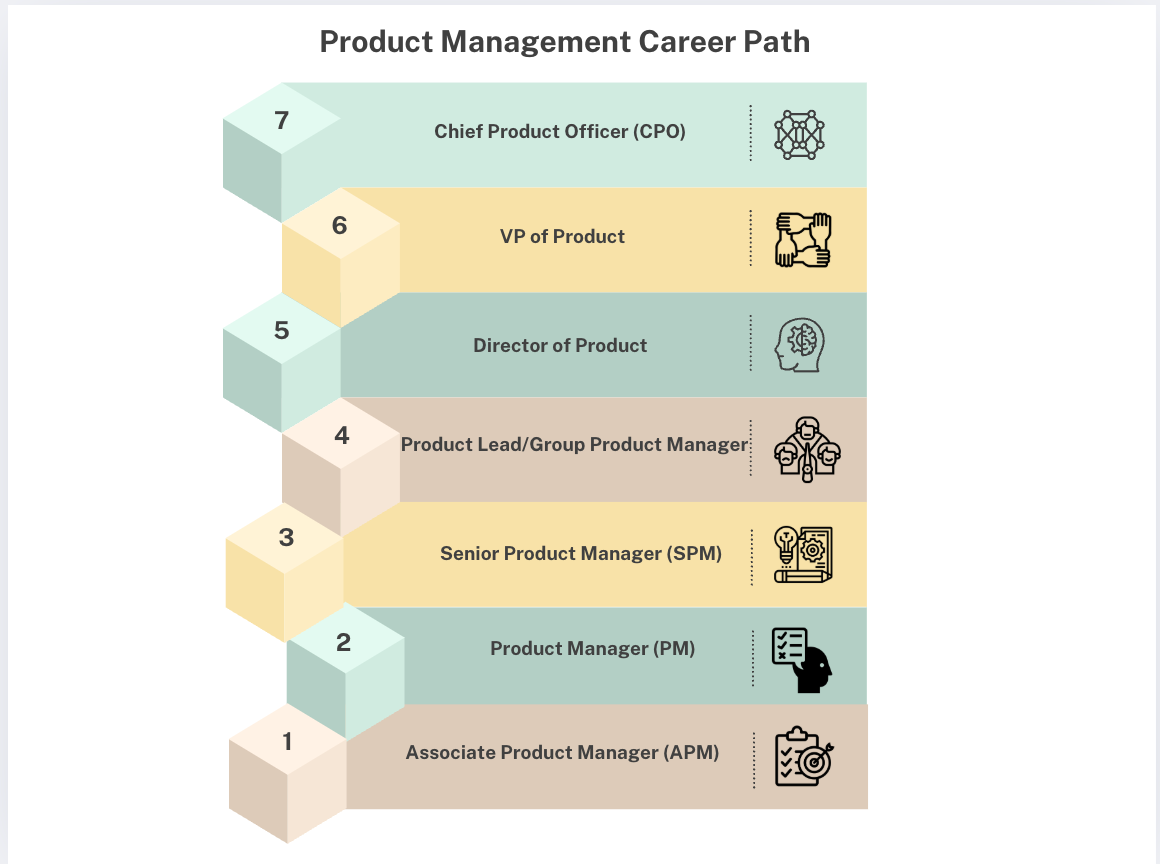 A linear career progression chart for product management roles. It starts with 'Associate Product Manager,' followed by 'Product Manager,' then 'Senior Product Manager,' next is 'Product Lead/Group Product Manager,' followed by 'Director of Product,' then 'VP of Product,' and ends with 'Chief Product Officer.' Each role is represented in a rectangular box connected by arrows indicating the hierarchy.